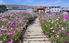 国产拍揄自揄免费观看